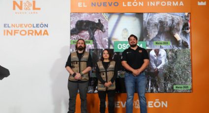 Autoridades capacitan a la población ante aumento de avistamientos de osos en Nuevo León