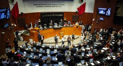 Comisiones del Senado ratifican a 20 propuestos por Sheinbaum para vacantes en el TFJA