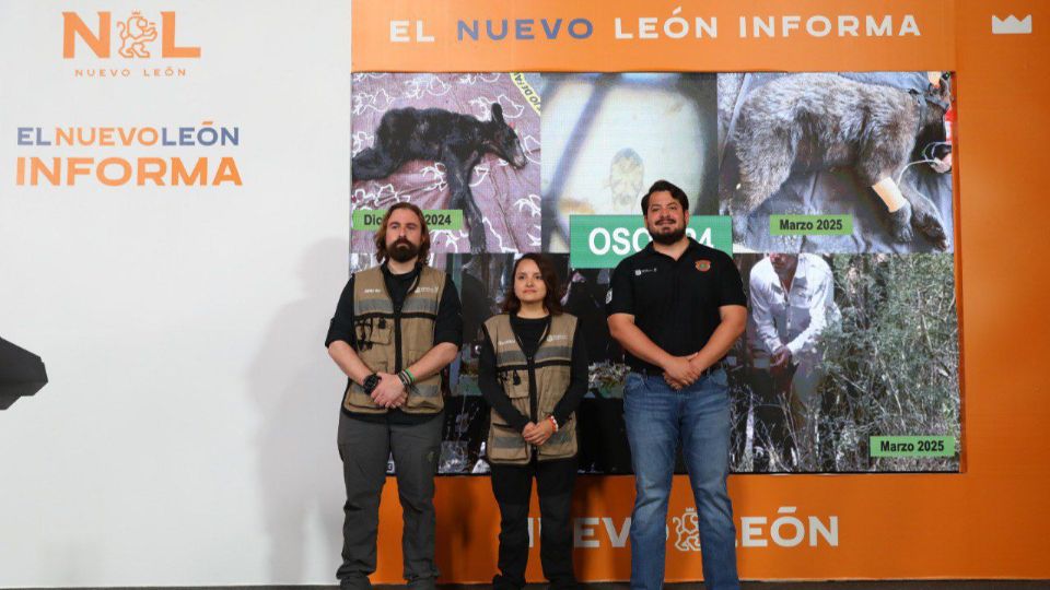 Las autoridades hicieron a los vecinos a tomar estos cursos para saber como lidiar con los osos que buscan comida.
