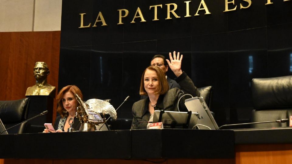 Ante los senadores, comparecerá la titular de Energía, Luz Elena González, añade la senadora Laura Itzel Castillo.