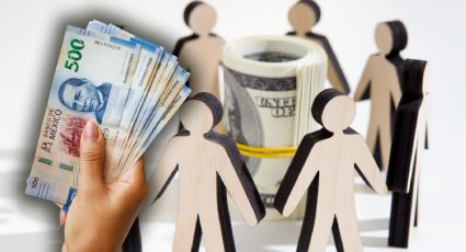 ¿Cae la inversión extranjera en México? Sofía Ramírez, lo explica