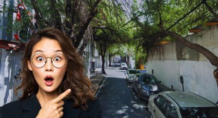 ¿Lo conoces? Este el túnel de árboles que se encuentran en el Centro de Monterrey