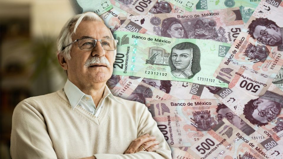 Desde el 3 de noviembre comenzó la dispersión nacional.