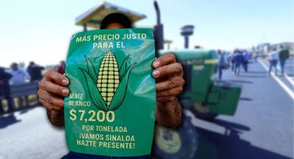 Productores de maíz acusan simulación del Gobierno federal y alertan riesgo por nueva Ley de Aguas