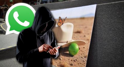 Cárteles mexicanos coordinan ataques por WhatsApp ante vacío del Estado: señala experto