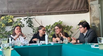 Morena buscará que población conozca los servicios de cuidado y como impactan en su vida