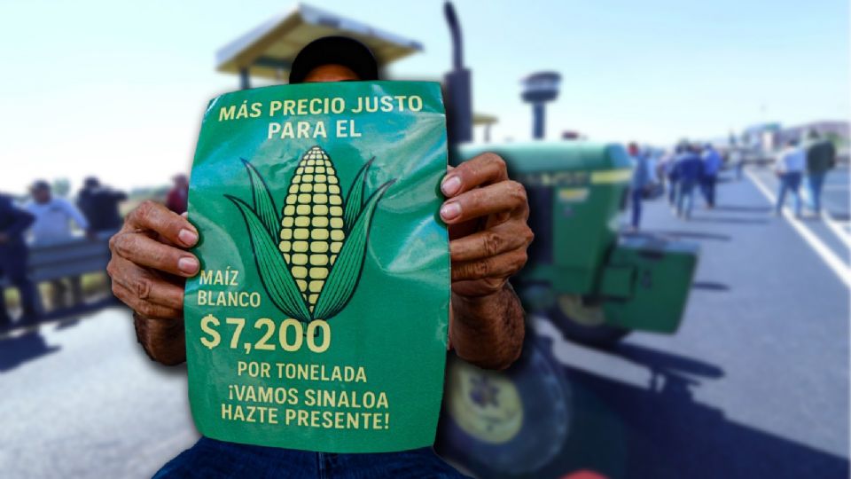 Productores de maíz acusan simulación del Gobierno federal y alertan riesgo por nueva Ley de Aguas.