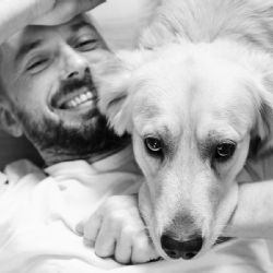 El Golden Retriever y tu tienen muchos puntos en común según la ciencia, ¿a qué se debe?