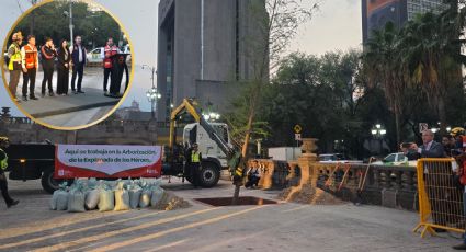 Inicia reforestación en la Explanada de los Héroes: plantan los primeros árboles en la Macroplaza