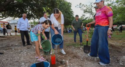 Avanza Cecilia Patrón con la reforestación de zonas urbanas meridanas.
