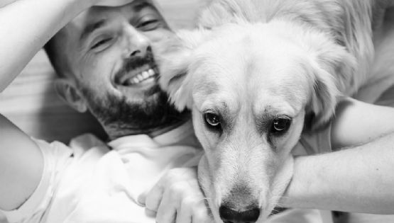 El Golden Retriever y tu tienen muchos puntos en común según la ciencia, ¿a qué se debe?