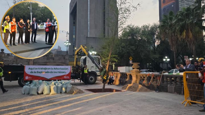 Inicia reforestación en la Explanada de los Héroes: plantan los primeros árboles en la Macroplaza