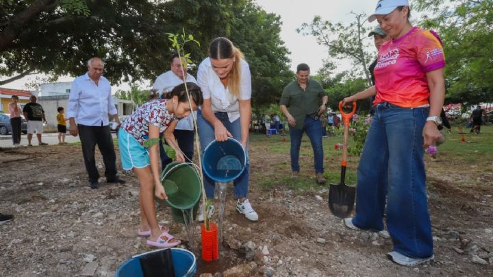 Avanza Cecilia Patrón con la reforestación de zonas urbanas meridanas.