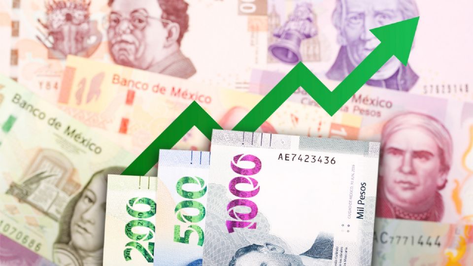 El consultor criticó también las políticas recientes del gobierno.