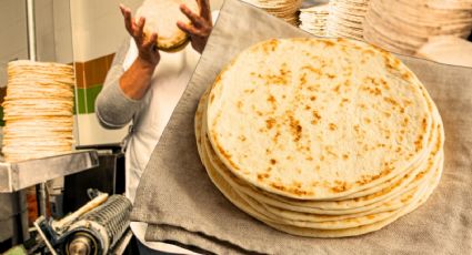 Estados con el costo más alto para adquirir un kilo de tortilla