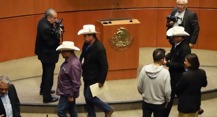 Productores agrícolas buscan apoyo del gobierno para diálogo