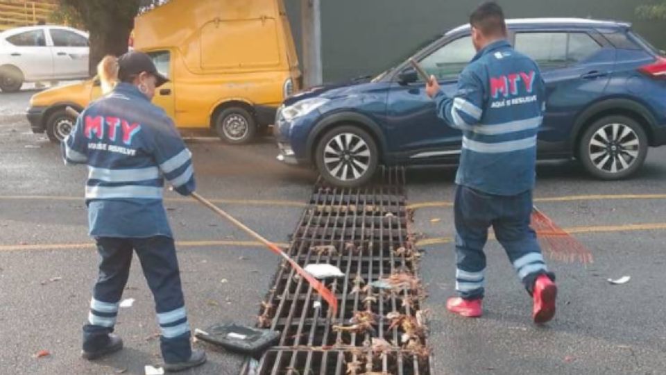 Cuadrillas de Servicios Públicos retiran basura de parrillas pluviales en Monterrey para evitar encharcamientos durante las lluvias.