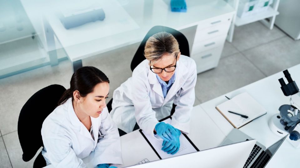 El estudio se basó en escáneres cerebrales de casi 4 mil personas de entre cero y 90 años.