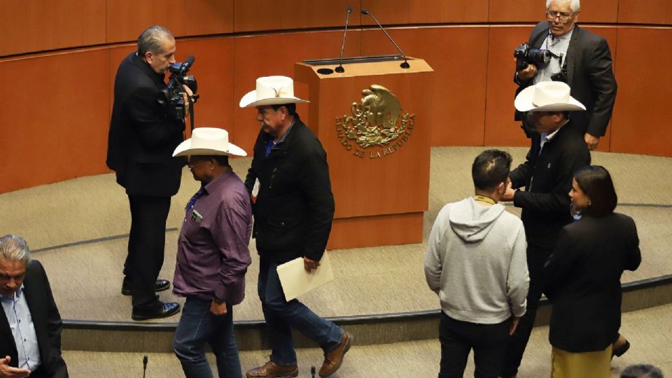 Un grupo de productores agrícolas logró ingresar al pleno del Senado de la República.