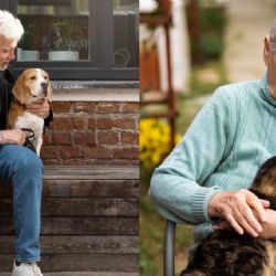 Expertos revelan la mejor mascota para personas de la tercera edad