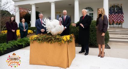 Historia del Indulto: ¿Por qué el Presidente perdona a dos pavos en Día de Acción de Gracias?