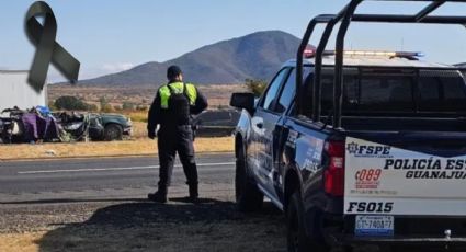 Luto en Guanajuato: mueren 11 jornaleros en brutal choque en la carretera León-Salamanca