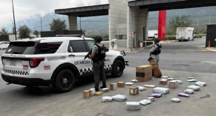 Aseguran 32 paquetes con droga en empresa de mensajería de Santa Catarina