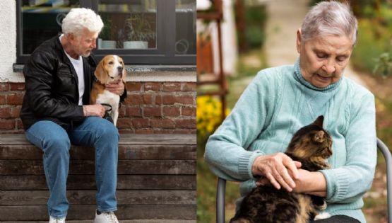 Expertos revelan la mejor mascota para personas de la tercera edad
