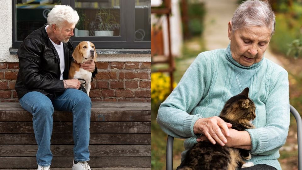 Expertos revelan la mejor mascota para personas de la tercera edad