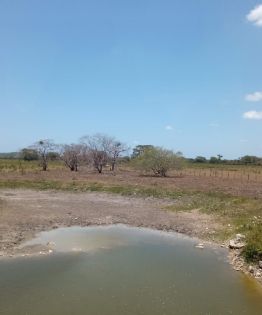 Buscan Ley de Aguas Nacionales sin modelo mercantilista y que consulte a los pueblos indígenas