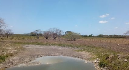 Buscan Ley de Aguas Nacionales sin modelo mercantilista y que consulte a los pueblos indígenas