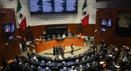 PRI propone que Protección Civil sea dirigida por un perfil verdaderamente especializado