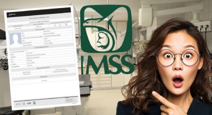 IMSS Tarjetón Digital: funciones, beneficios y quién tiene acceso a consultarlo