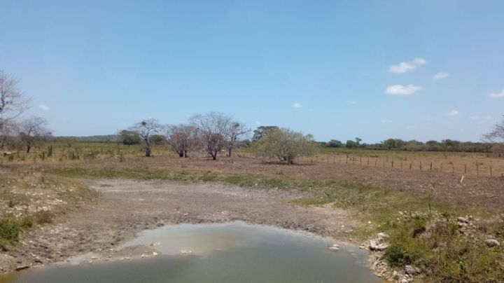 Buscan Ley de Aguas Nacionales sin modelo mercantilista y que consulte a los pueblos indígenas