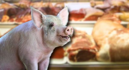 México suspende importaciones de carne de cerdo de España tras brote de peste porcina