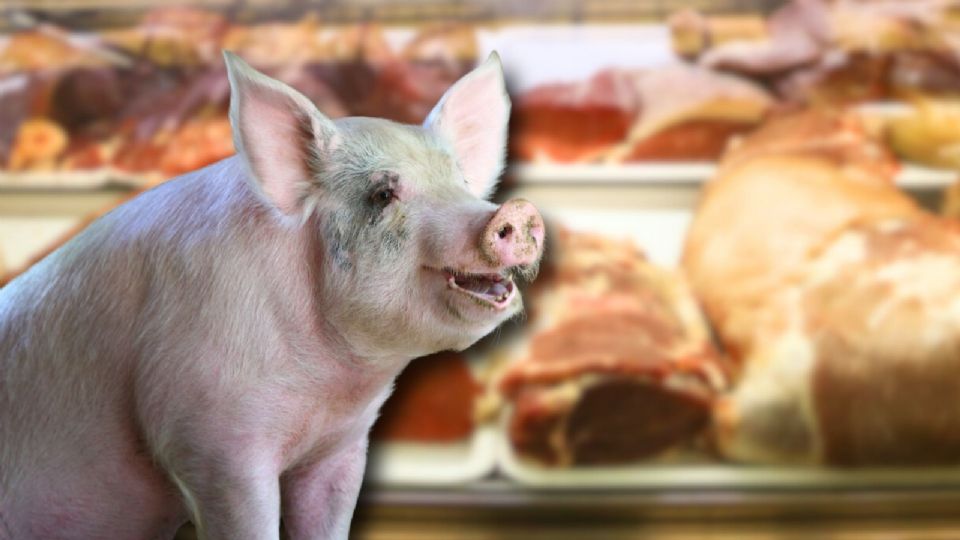 La suspensión de importaciones fue implementada por el Servicio Nacional de Sanidad, Inocuidad y Calidad Agroalimentaria (Senasica)