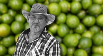 Omisión militar: Denuncian inacción en el homicidio del productor de limón Alejandro Torres Mora