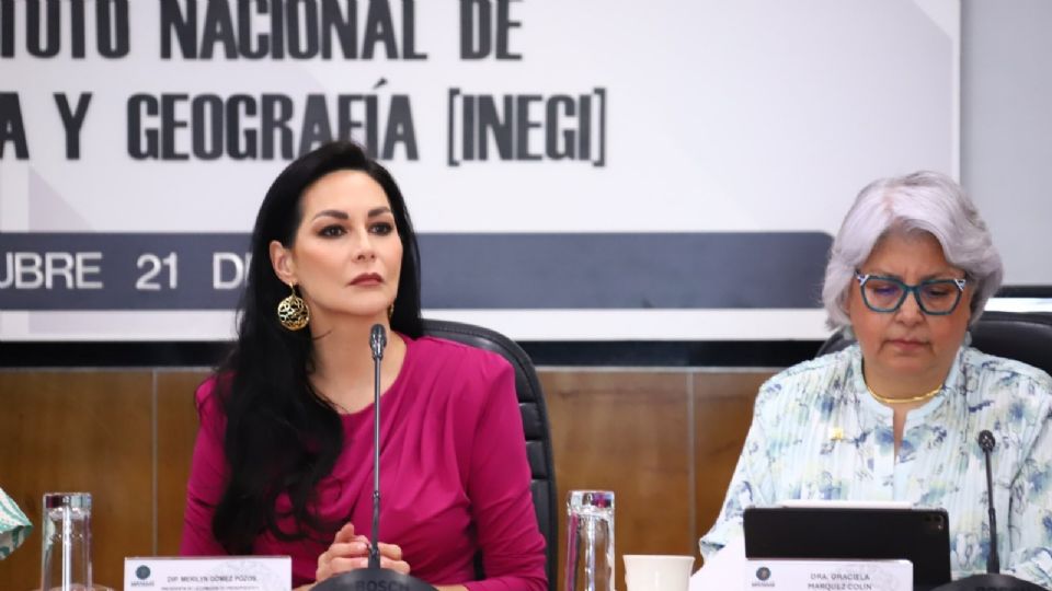 Merilyn Gómez, presidenta de la Comisión de Presupuesto de San Lázaro.