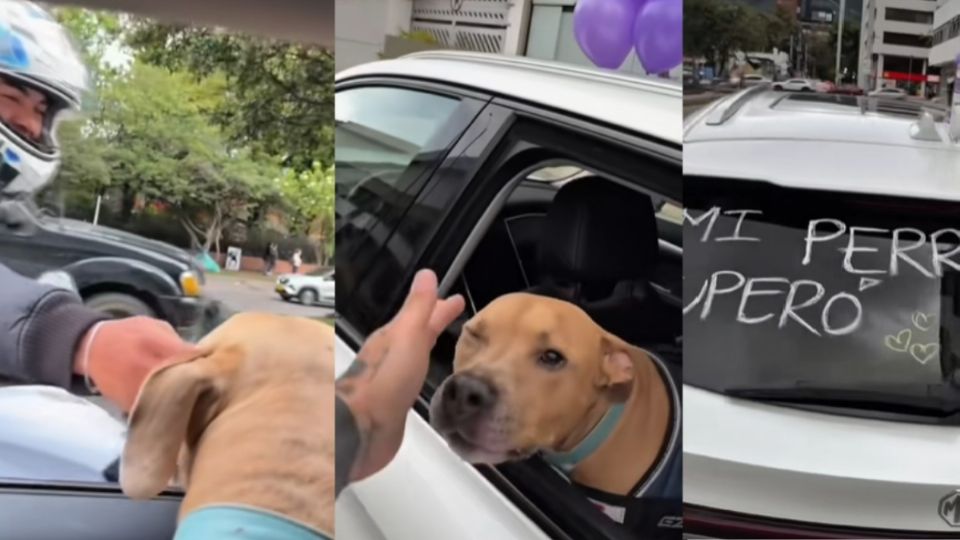 Este peludito venció el cáncer y su dueño lo presumió con una caravana y un video, haciéndolo viral.