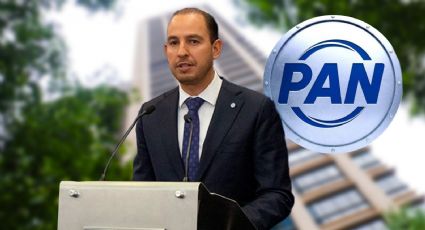 Revelan que Marko Cortés, presidente del PAN, compró departamento de 565 mil euros al contado