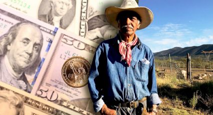 Remesas a México en caída: ¿Qué significa para la economía nacional?