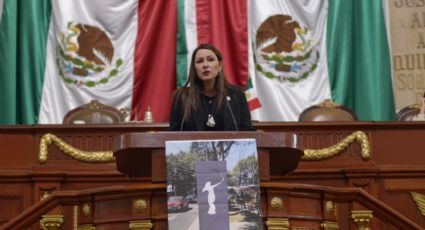 Piden a alcaldesa en Cuauhtémoc aclarar gastos de tótems luminosos