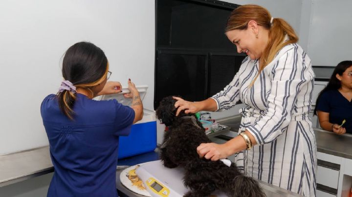 Ayuntamiento de Mérida fortalece el bienestar animal con campaña de esterilización