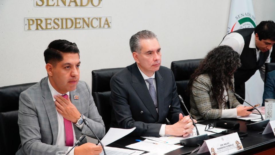 El senador Waldo Fernández anuncia que el Senado definirá los términos base para la renegociación del T-MEC, priorizando los intereses de México ante Estados Unidos y Canadá.