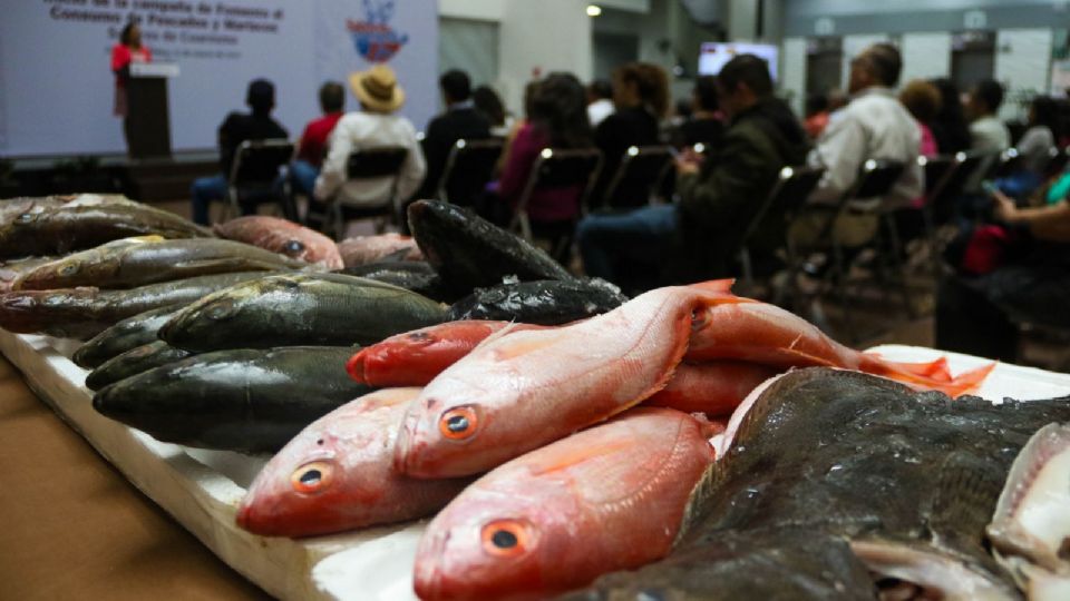Las disposiciones aplicarán para los titulares de permisos y concesiones de pesca comercial.