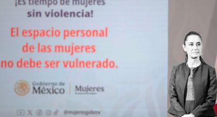 'Si hablamos de abuso sexual, el tocamiento no consentido es una violación clara': Citlalli Hernández