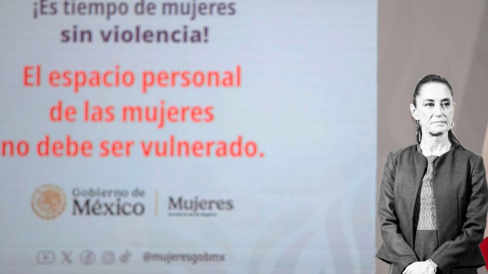 Cada estado tiene sus propias leyes, lo que genera confusión y permite que muchos casos queden impunes.