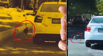VIDEO | Conductor hace correr a su perro amarrado al auto en plena avenida de Monterrey