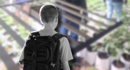 Reclutamiento infantil en México: los factores que empujan a miles de niños al crimen organizado