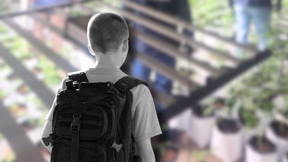 En México alrededor de 250 mil niños, niñas y adolescentes están en riesgo de ser reclutados por el crimen organizado.